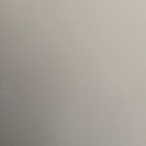 Meet your Posher, Amelia